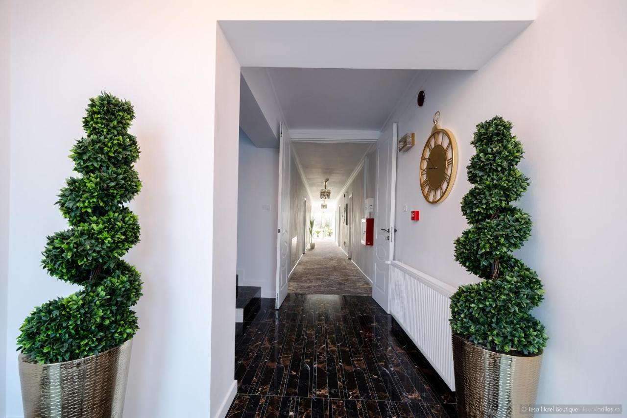 Tesa Boutique Hotel Târgu Neamț Buitenkant foto