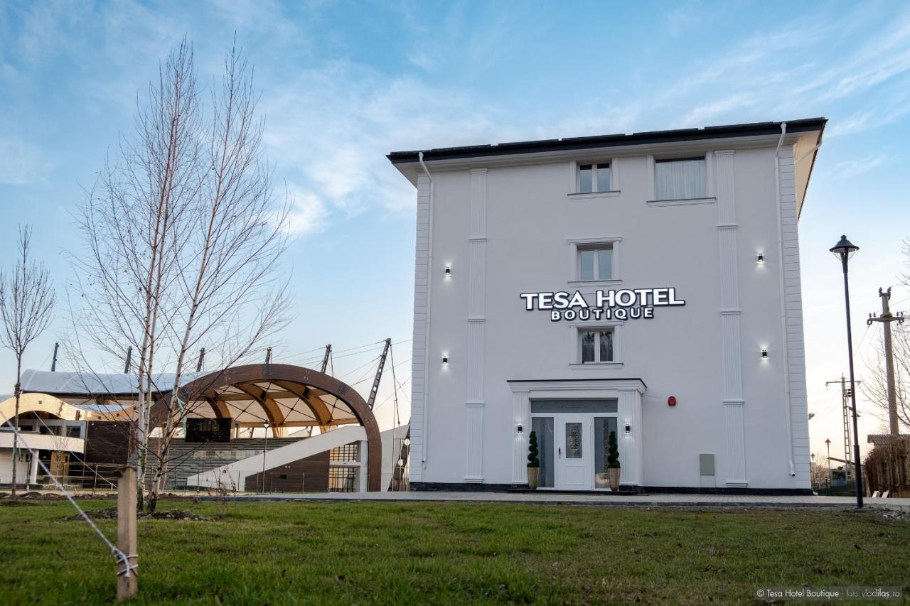 Tesa Boutique Hotel Târgu Neamț Buitenkant foto
